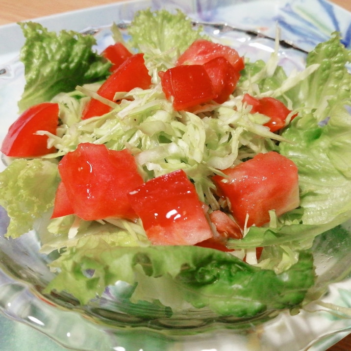 キャベツとグリーンカールとトマトのサラダ